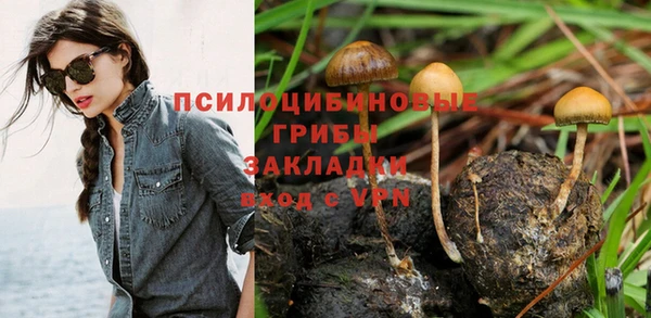 скорость Алексин